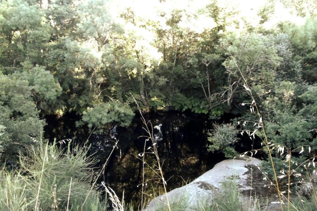 Quinta Do Pina Leilighet Guarda Eksteriør bilde