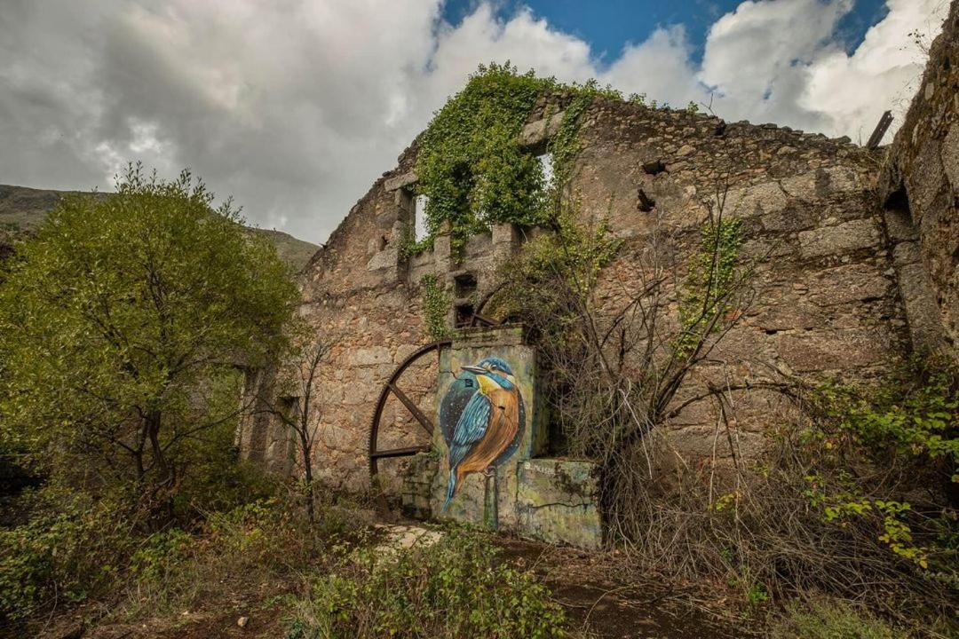 Quinta Do Pina Leilighet Guarda Eksteriør bilde